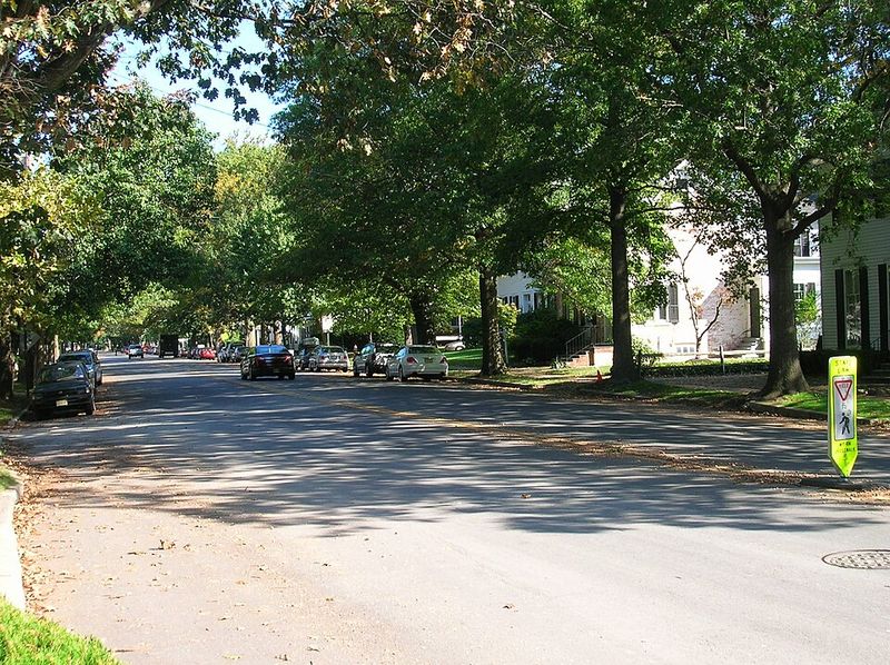 Practical Tips for a Low-Stress Visit