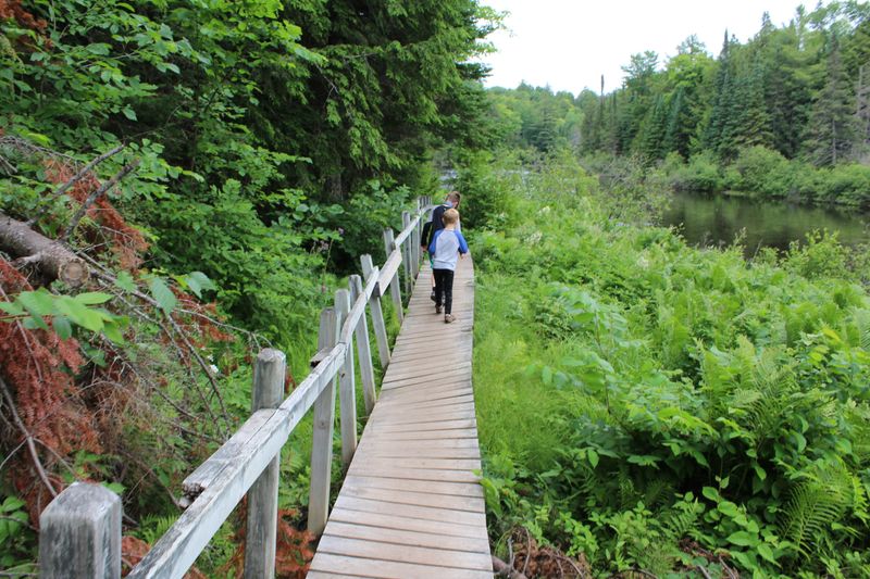 Tahquamenon Falls State Park, Paradise