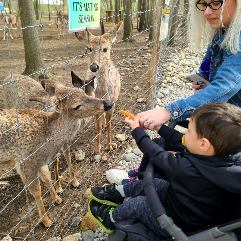 Quiet Corners: Shade, Benches, and a Breather