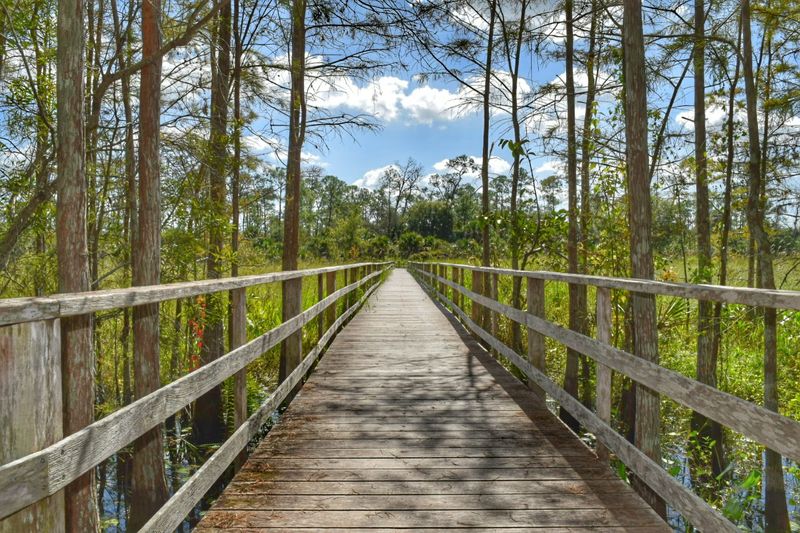 Multiple Ecosystems in One Walk