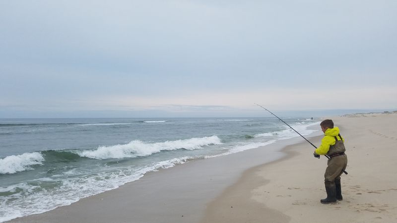 Surf Fishing