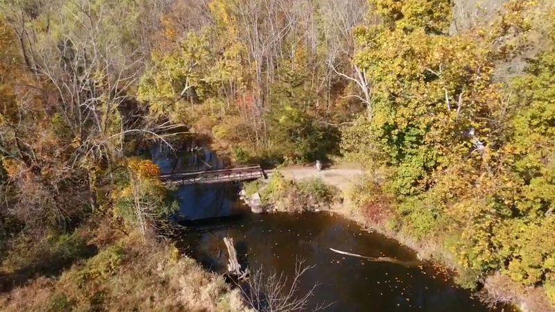 Sunset And Foliage Gold
