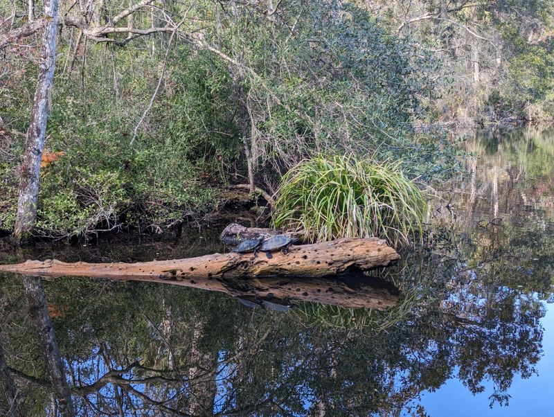 Reptile House and Tortoise Yard