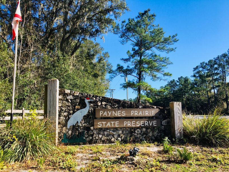 Savannah Boulevard Entrance Tips