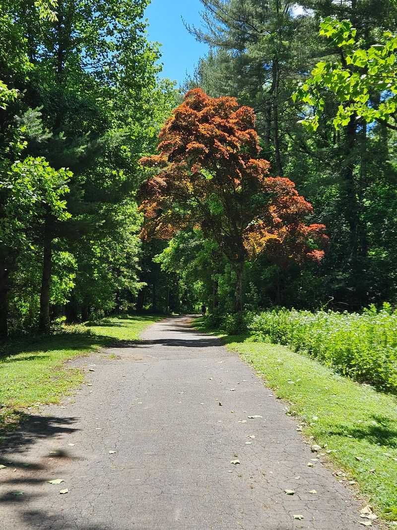 Seasons And Best Times To Visit