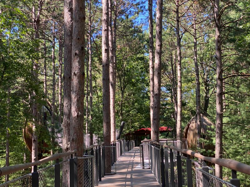 Dow Gardens Canopy Walk – Midland