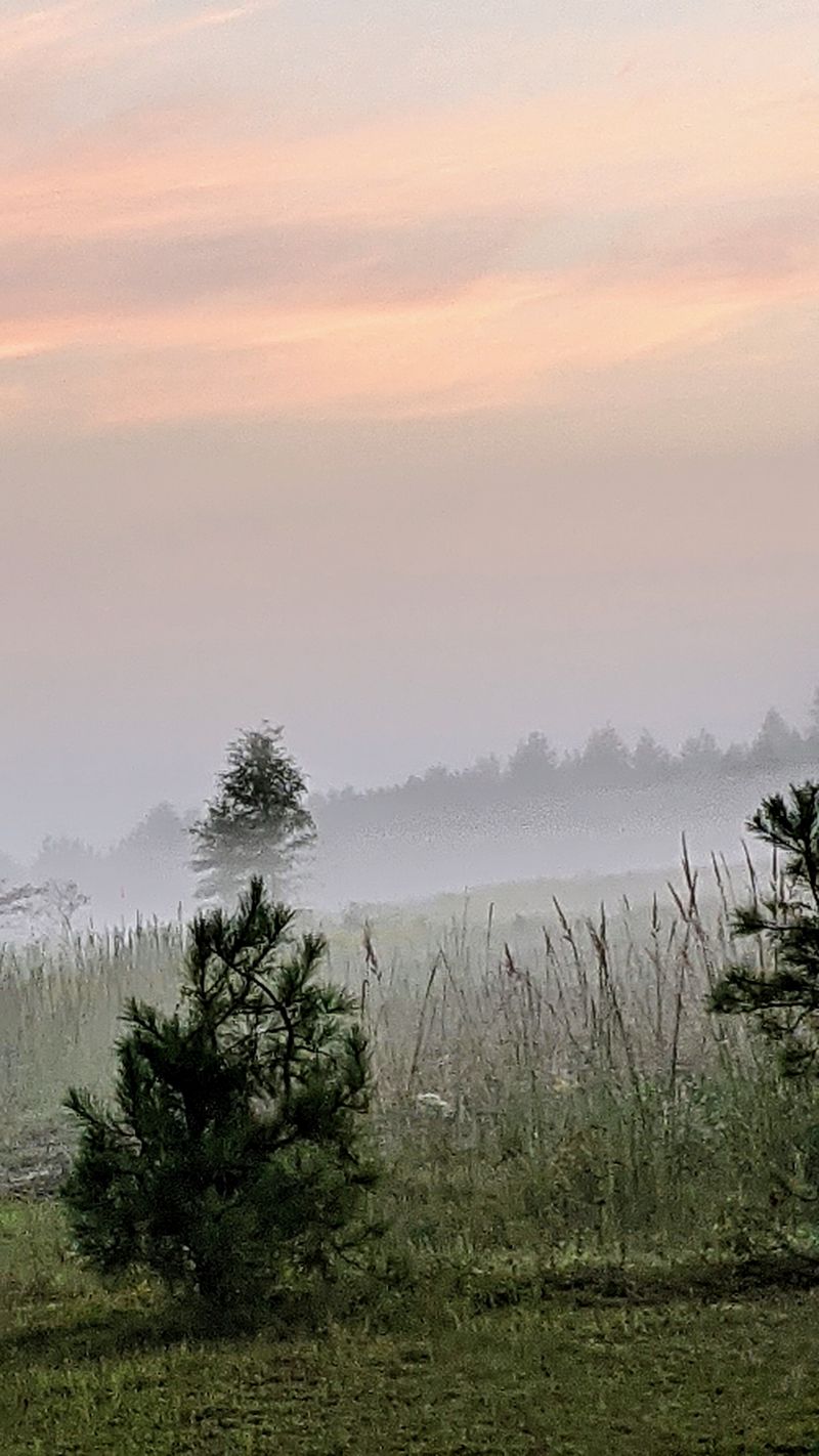 Low Cost of Living Benefits