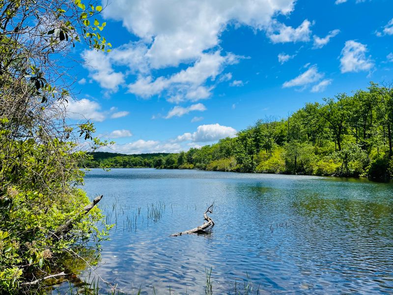 Appalachian Trail Link To Sunfish Pond