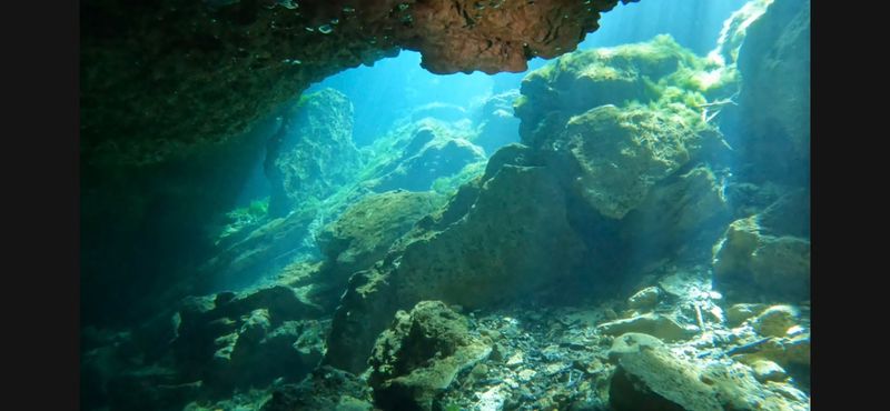 Peacock Springs State Park (Live Oak)