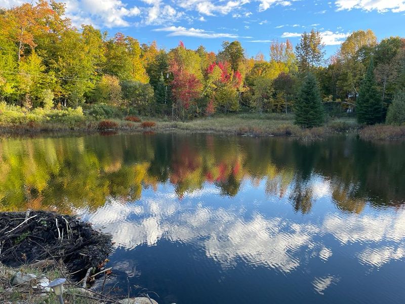 Adirondack Retreats, New York — Forest and Peak Views