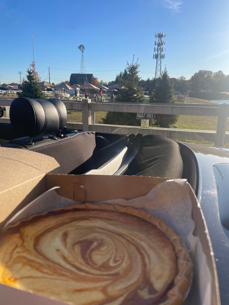 Pumpkin Slice That Feels Like Sweater Weather