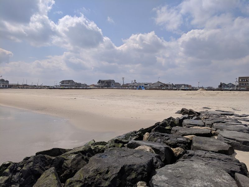 Dune Walks And Sea Grass Whispers