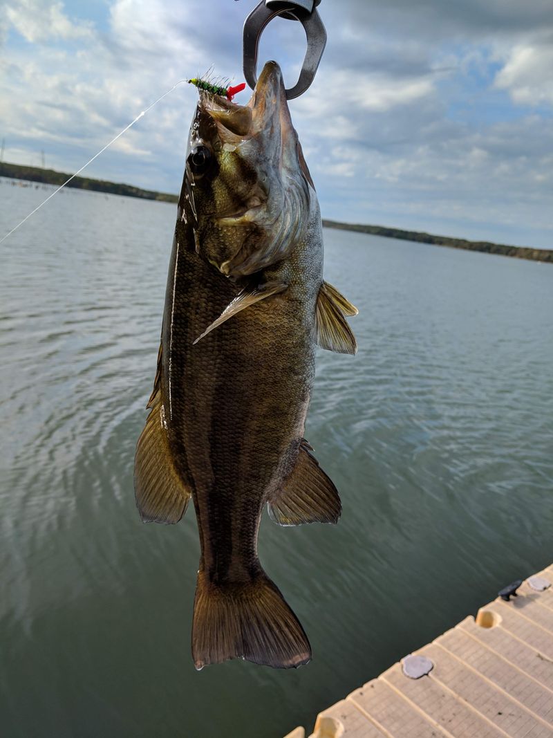 Fishing Notes That Actually Help