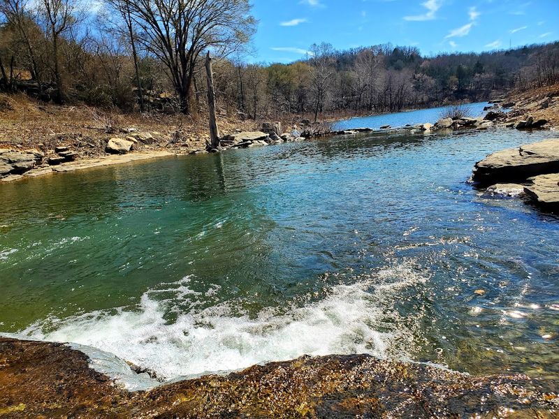 Fishing for Memories and Dinner