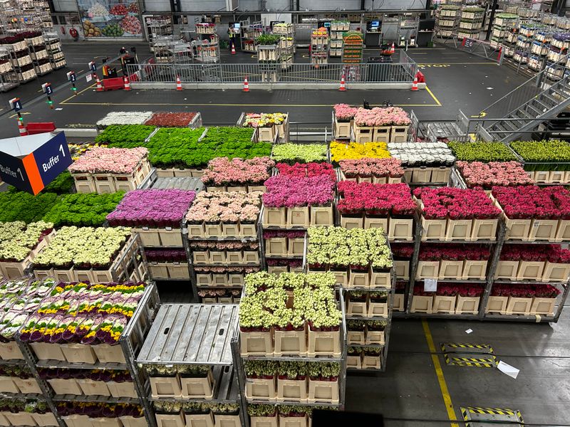 Aalsmeer Flower Auction (Aalsmeer, Netherlands) - A building that runs the global flower trade