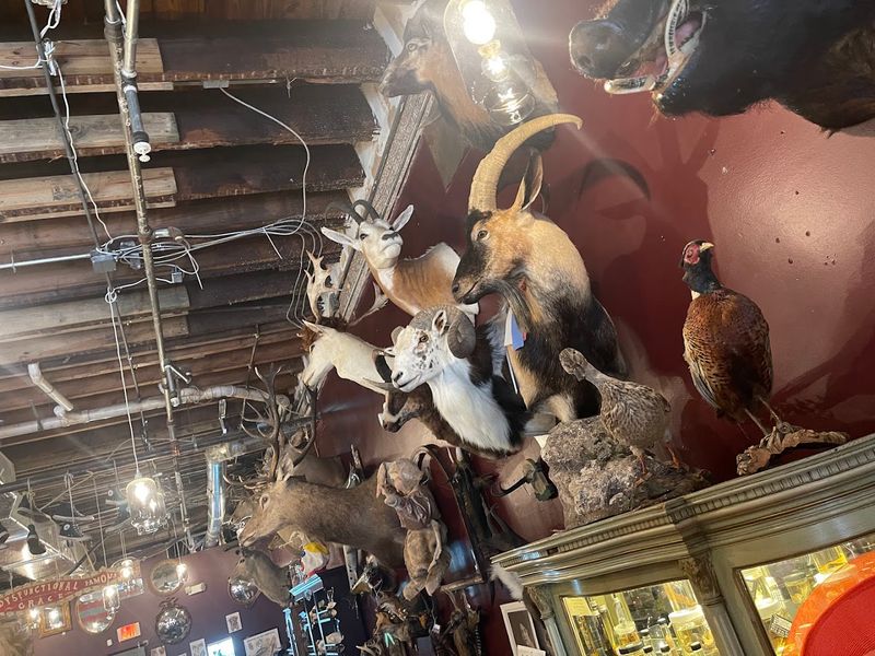 Antique Photographs and Vintage Ephemera