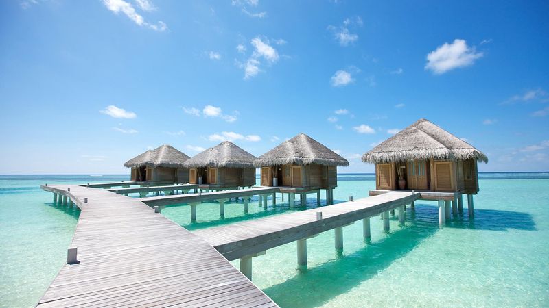 The Maldives