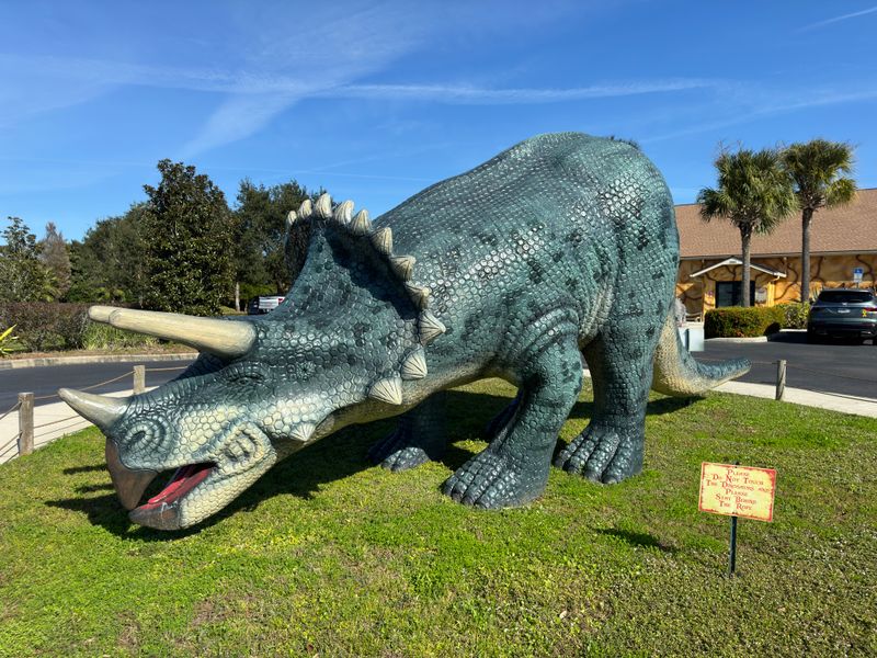 Triceratops Crossing