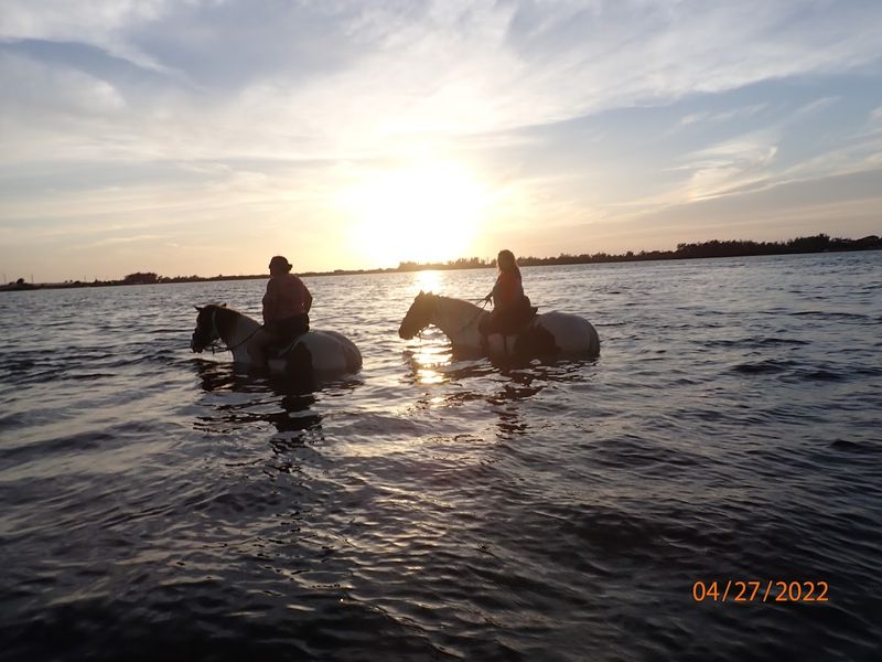 Operating Hours and How to Plan Your Visit