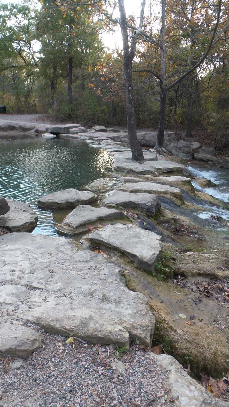 Antelope and Buffalo Springs