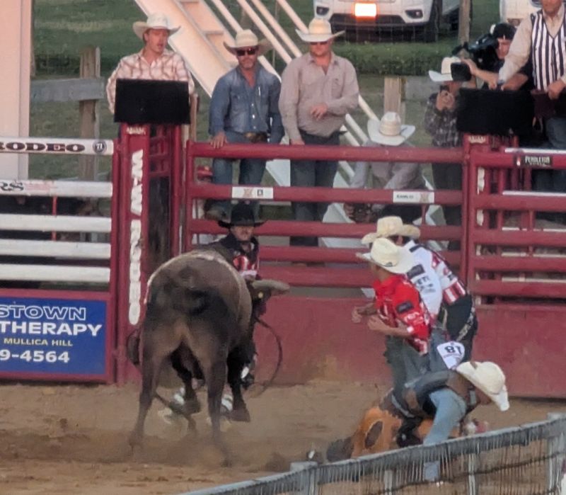 Bull Riding Showstoppers