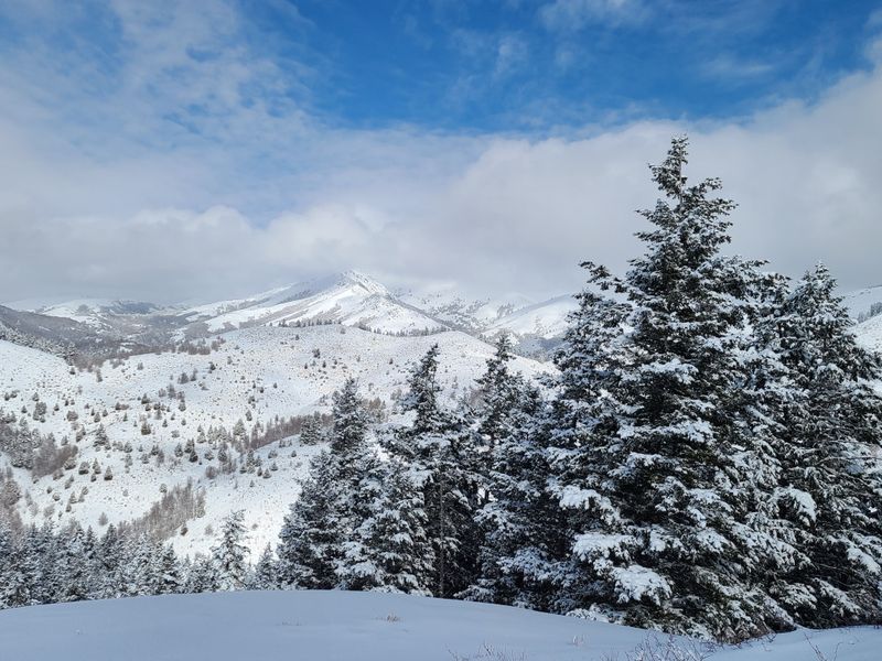 Climbers’ Corner: Basalt Cracks And Evening Shade