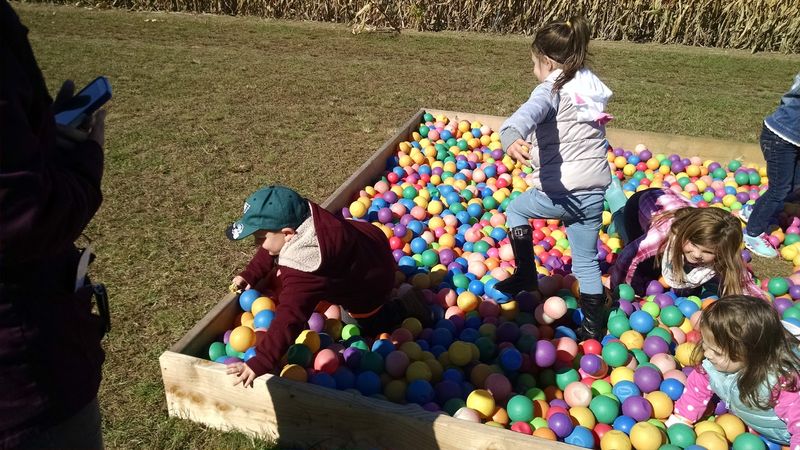 Navigating With Kids in Tow