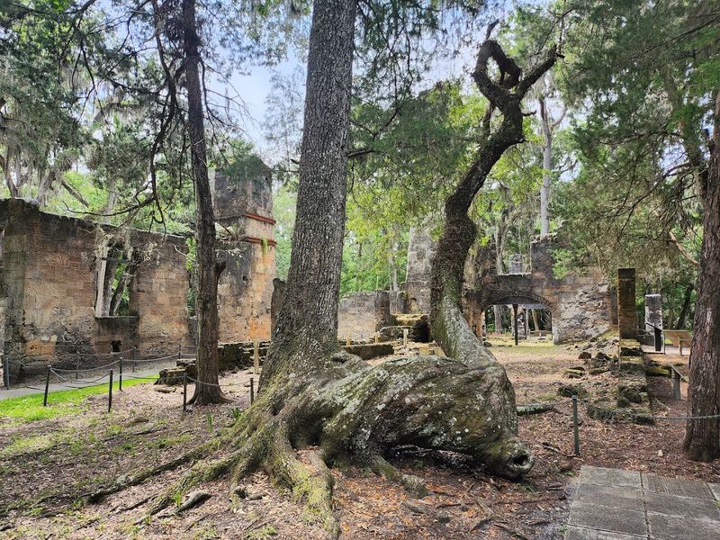 Connecting With Florida's Natural History
