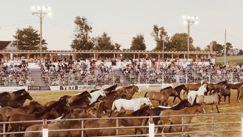 Announcer, Music, and Atmosphere