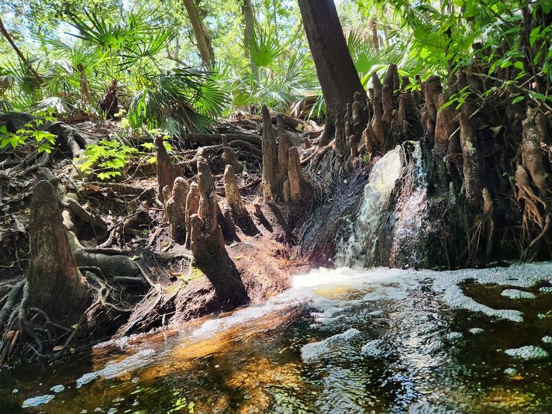 Boonie Falls – Little Big Econ State Forest
