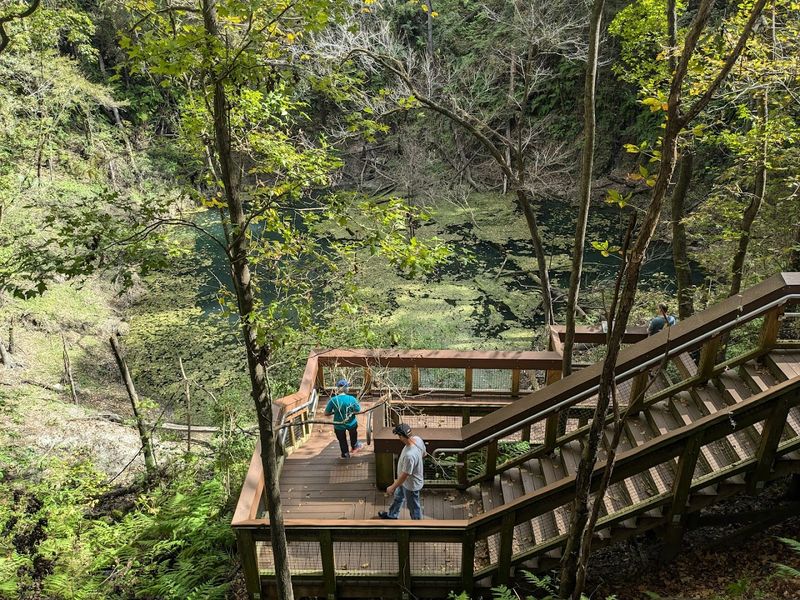 Devil's Millhopper Geological State Park – Gainesville