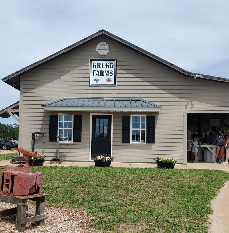 Gregg Farms, Concord Peach Shed