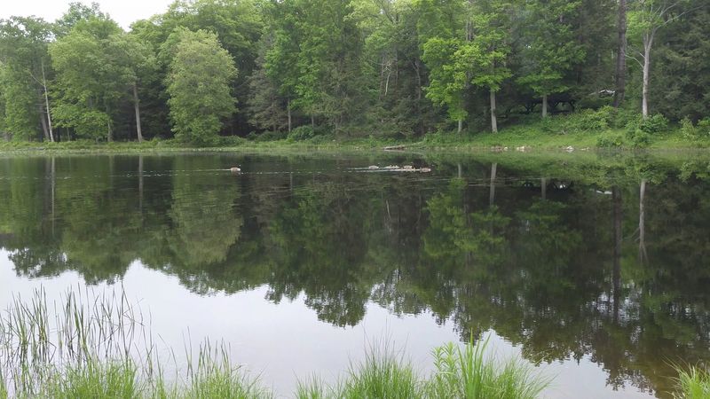 Fishing, Biking, and Other Activities