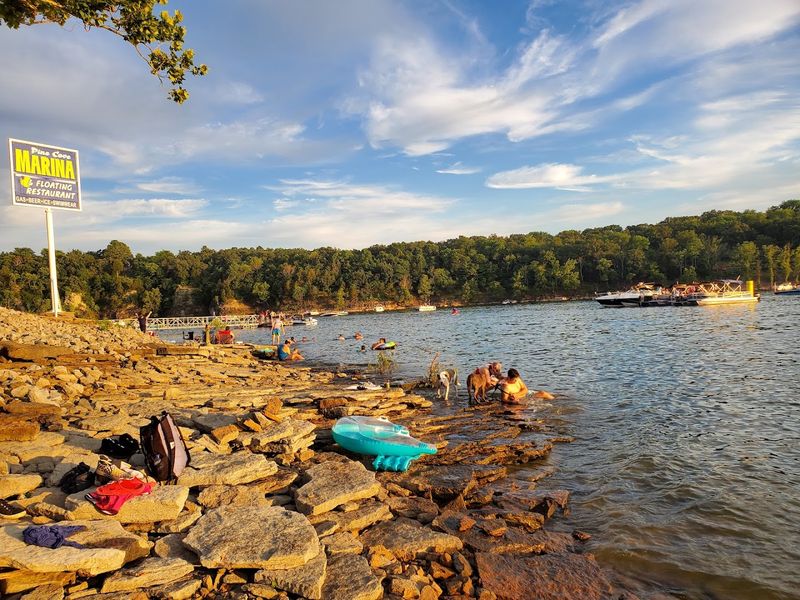 Swimming Spots for Every Preference