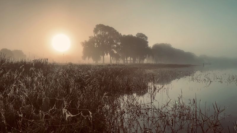 Wildlife That Refuses To Be Ignored