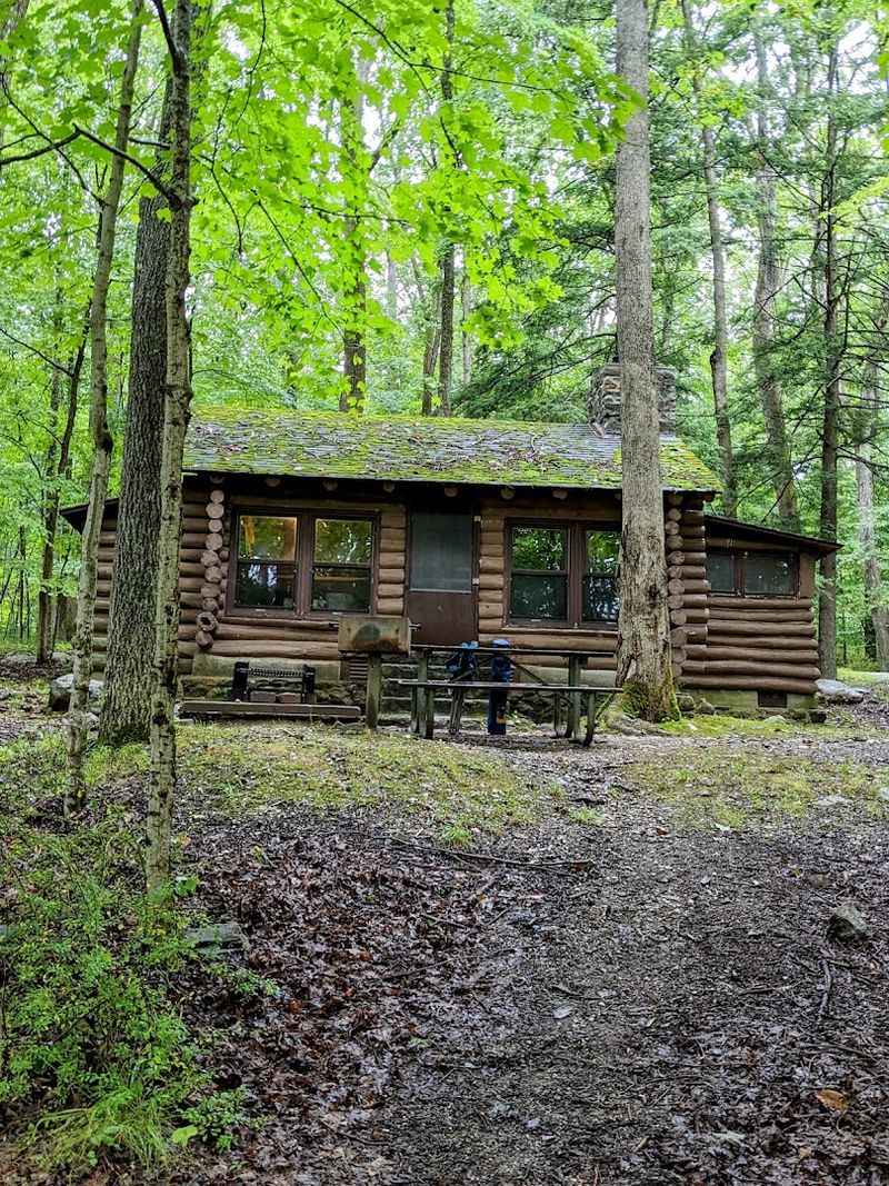 Cabin Rentals and the YMCA Section