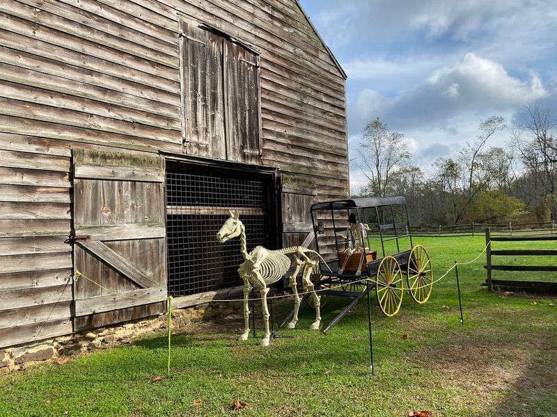 Seasonal Events That Change the Park Completely