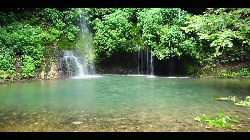 Best Times to Visit for Waterfall Flow