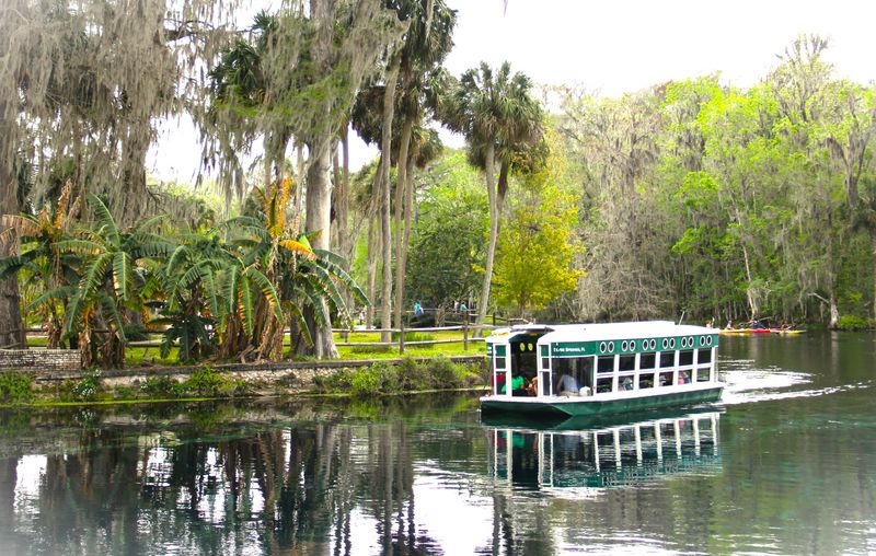 Responsible wildlife watching, monkeys included