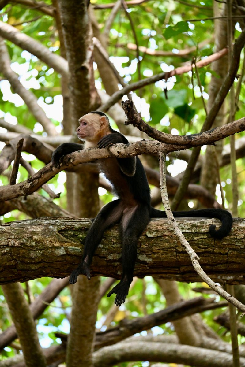 Costa Rica — Tropical Biodiversity Hotspot