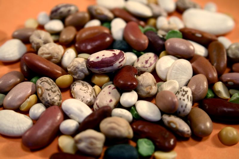 Dried Beans