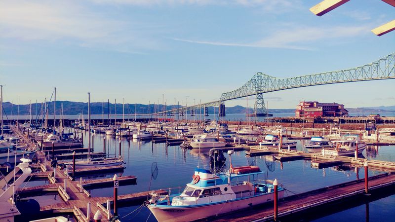 Fresh Catch at Bowpicker and Beyond