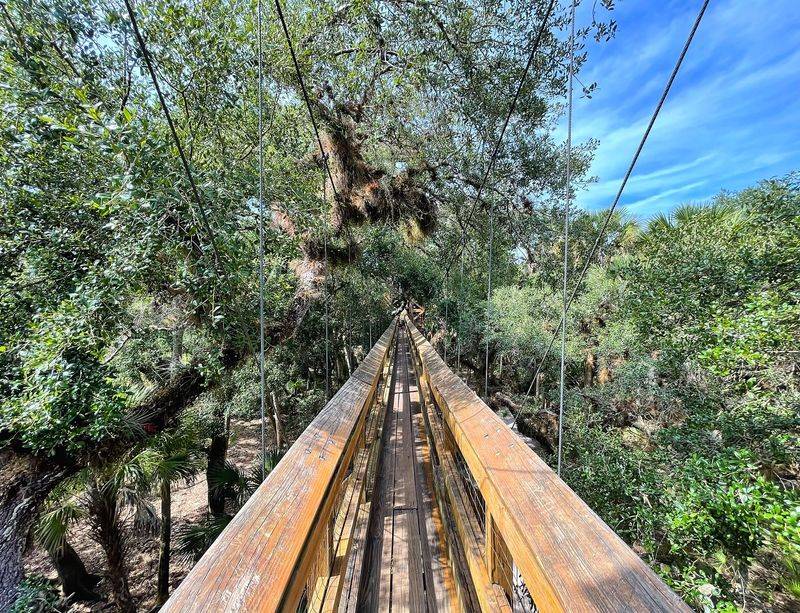 Suspension Bridge Span