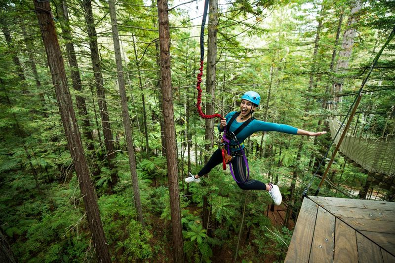 Ziplining Through Forest Canopies — Rotorua & Waiheke
