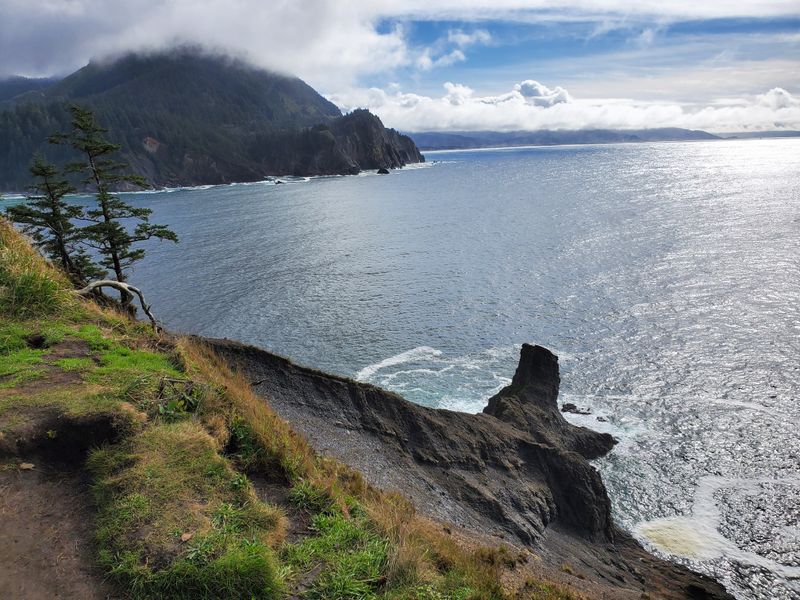 Cape Falcon Trail - Oswald West State Park