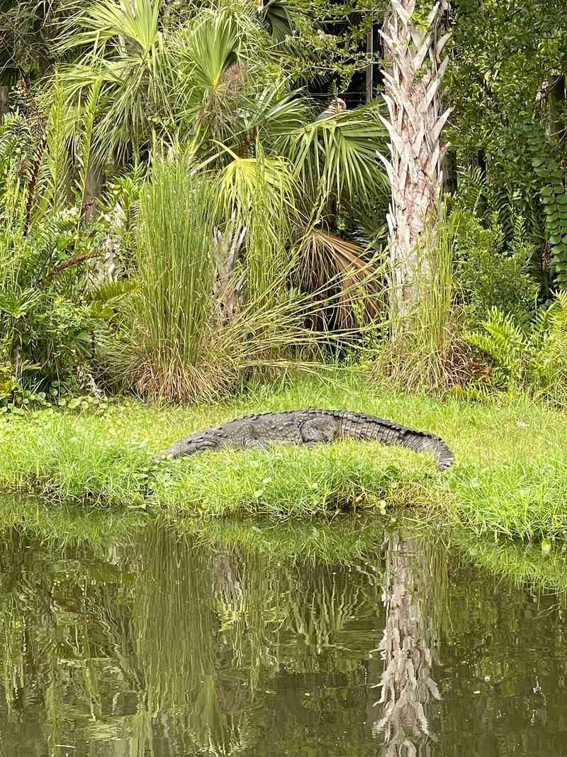 Barrier Island and Florida Natives