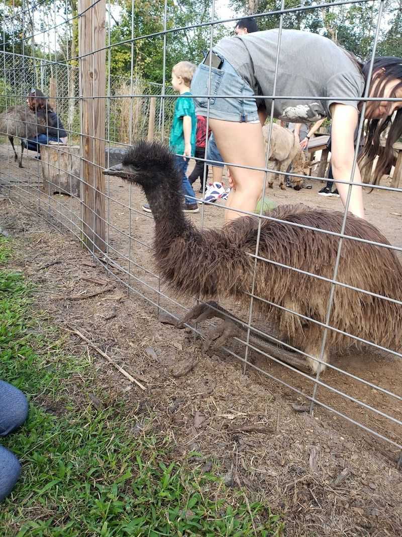 Guided Tours That Flow