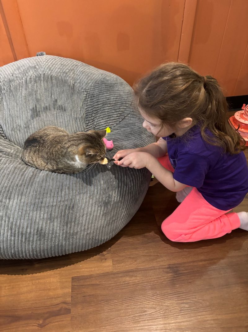 Kid Friendly Without Overwhelm