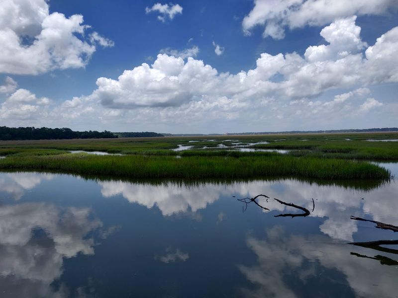 Kayak the Skidaway Narrows and Moon River