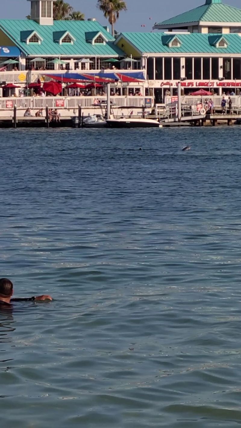 Timing, Hours, And Crowds